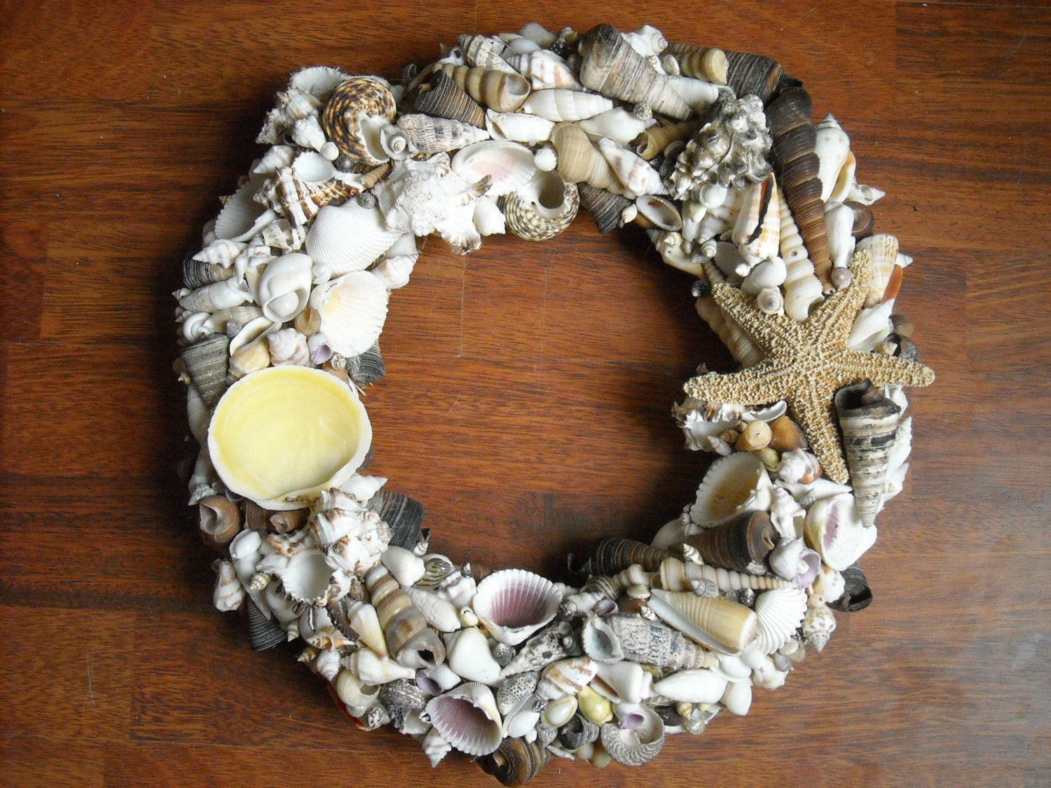 Pacific/Indian Ocean Shell Wreath 12 inches