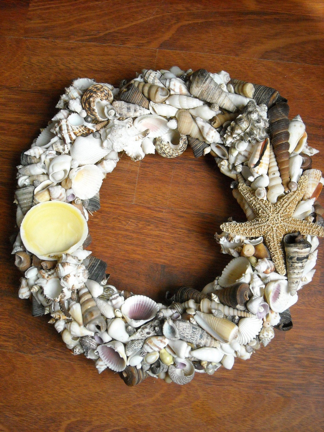 Pacific/Indian Ocean Shell Wreath 12 inches