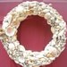 Pacific/Indian Ocean Shell Wreath (smaller shells) 12 inches