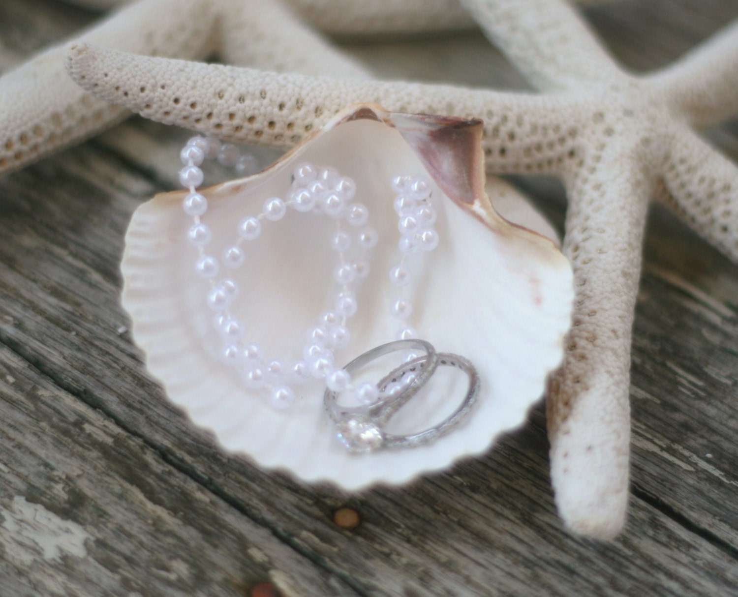 Sea Shell Ring Bearer Pillow With Pearls Beach Chic Wedding (item PI20024)