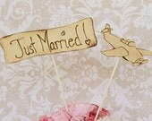 Cake Topper Just Married Airplane Banner Rustic Destination Wedding (item E10534)