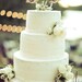 Cake Topper Love Birds Rustic Wedding Decor (item E10046)