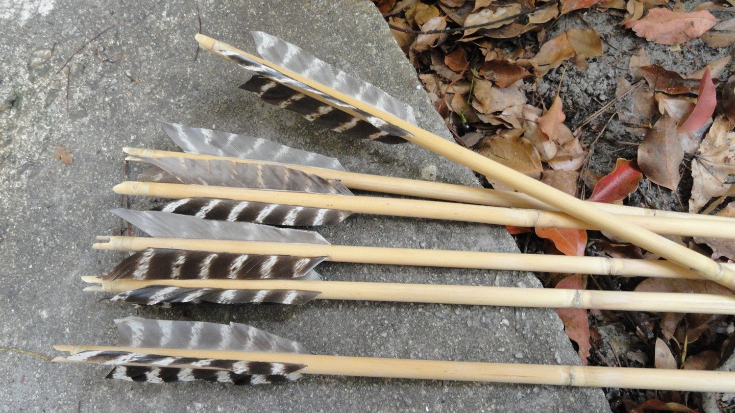 Rivercane Arrows