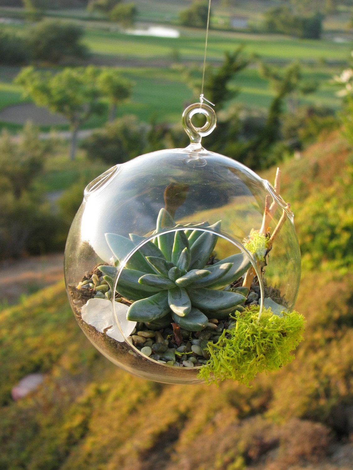 Succulent Terrarium for the Simple Life