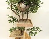 Adult (medium) Cat Tree House