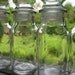 Reserved Vintage Glass Spice Jars set of 15