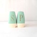 Turquoise Salt and Pepper Shakers by Stanley Home