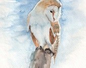 Frosty Barn Owl - Tyto Alba - Watercolor Print