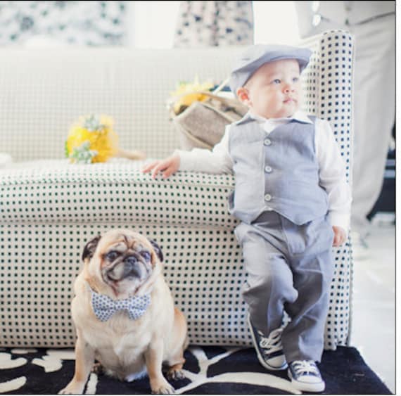European Linen in Slate Hat Dress Pants and Vest Suit for boys ring bearer