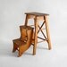 Old Painters Ladder