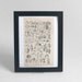 Antique Framed Seashell Print