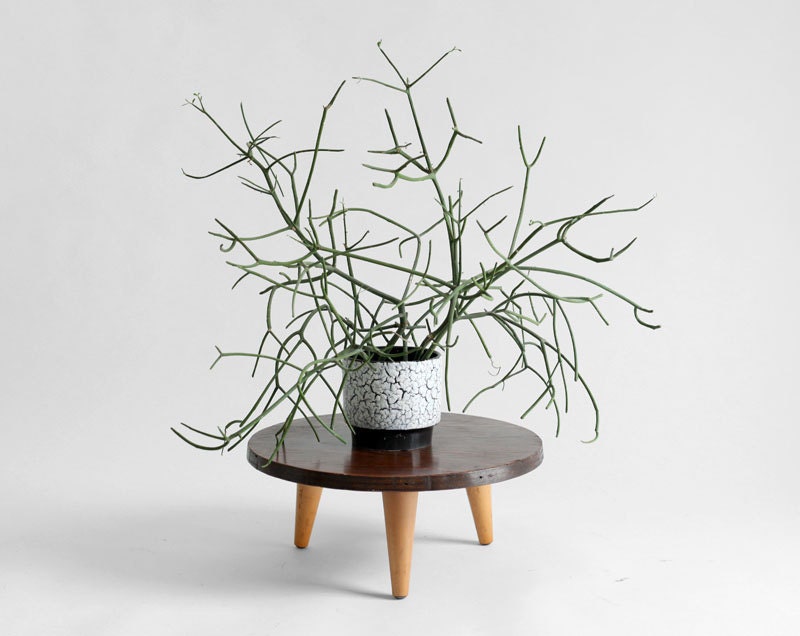 Vintage Wood Plant Stand - Mid Century, Modern, Retro