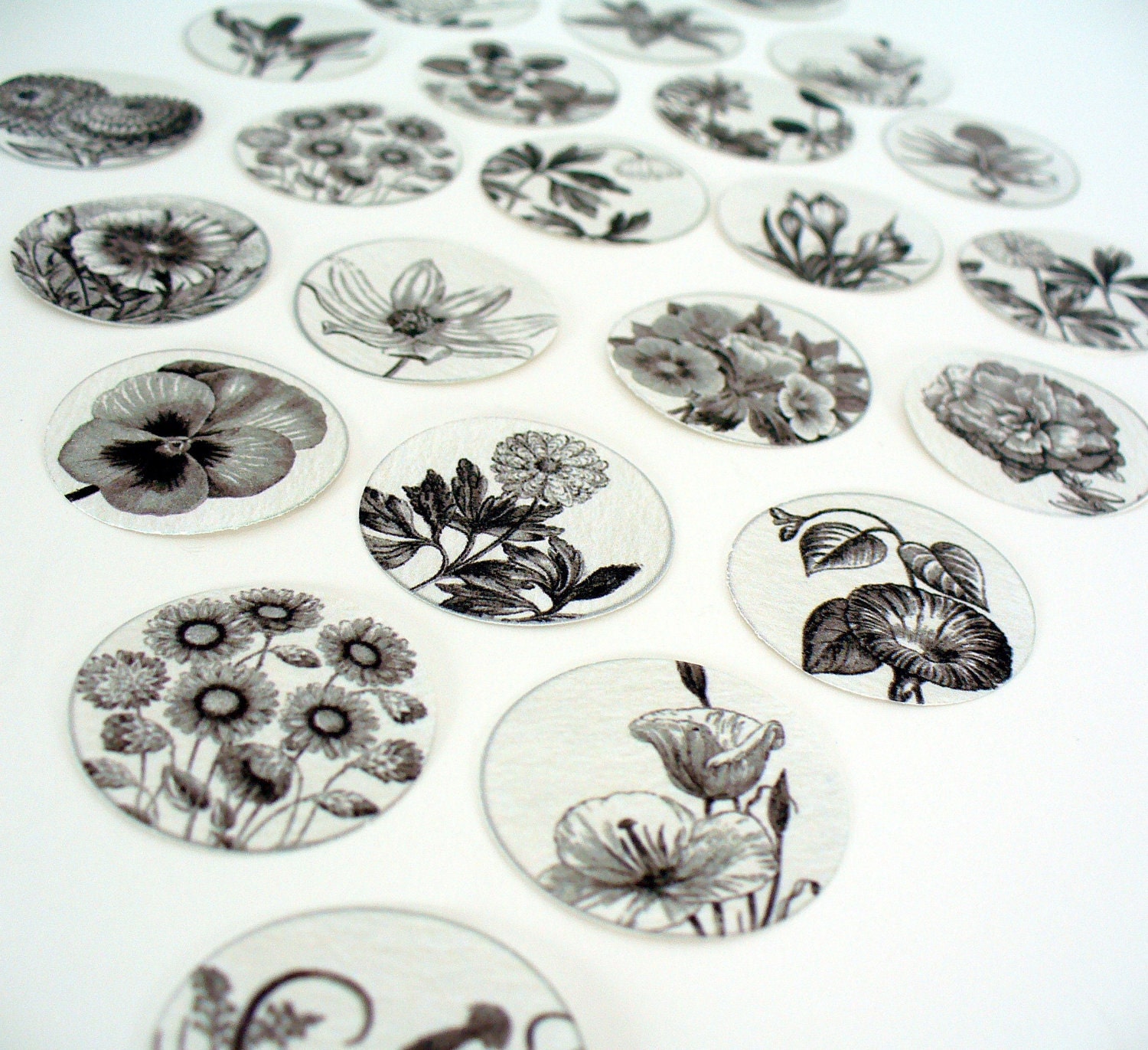 Stickers Envelope Seals Flowers Black and White Drawings SES10