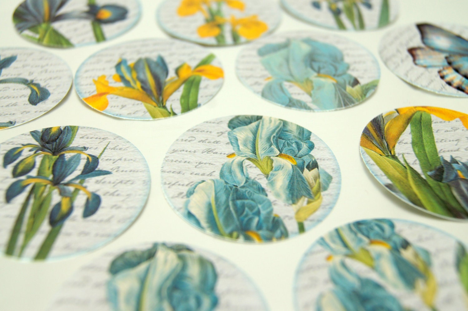 Stickers Envelope Seals Iris Flowers set of 25 SES9