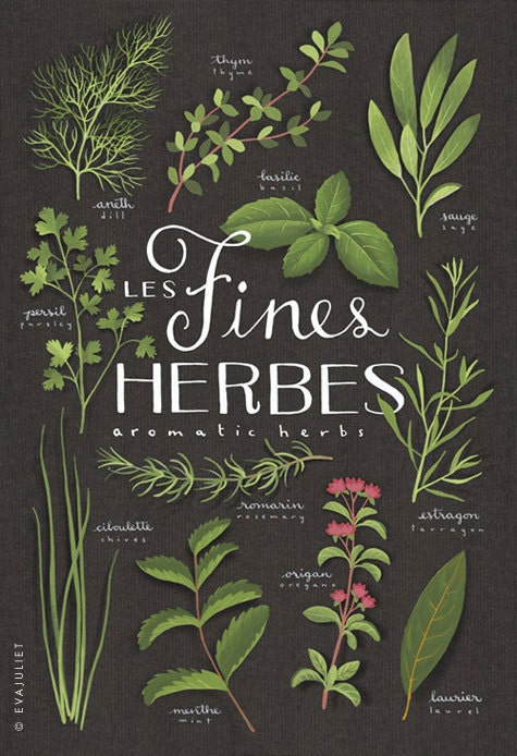Fines herbes - Aromatics Culinary herbs bilingual print 13x19 - Botanical collection