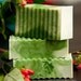 Underneath the Mistletoe - shea butter soap - SALE