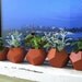 Faceted Planter - small