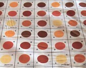 Out of print Paintbox Palette, Lush, in Villa by  Erin Michaels