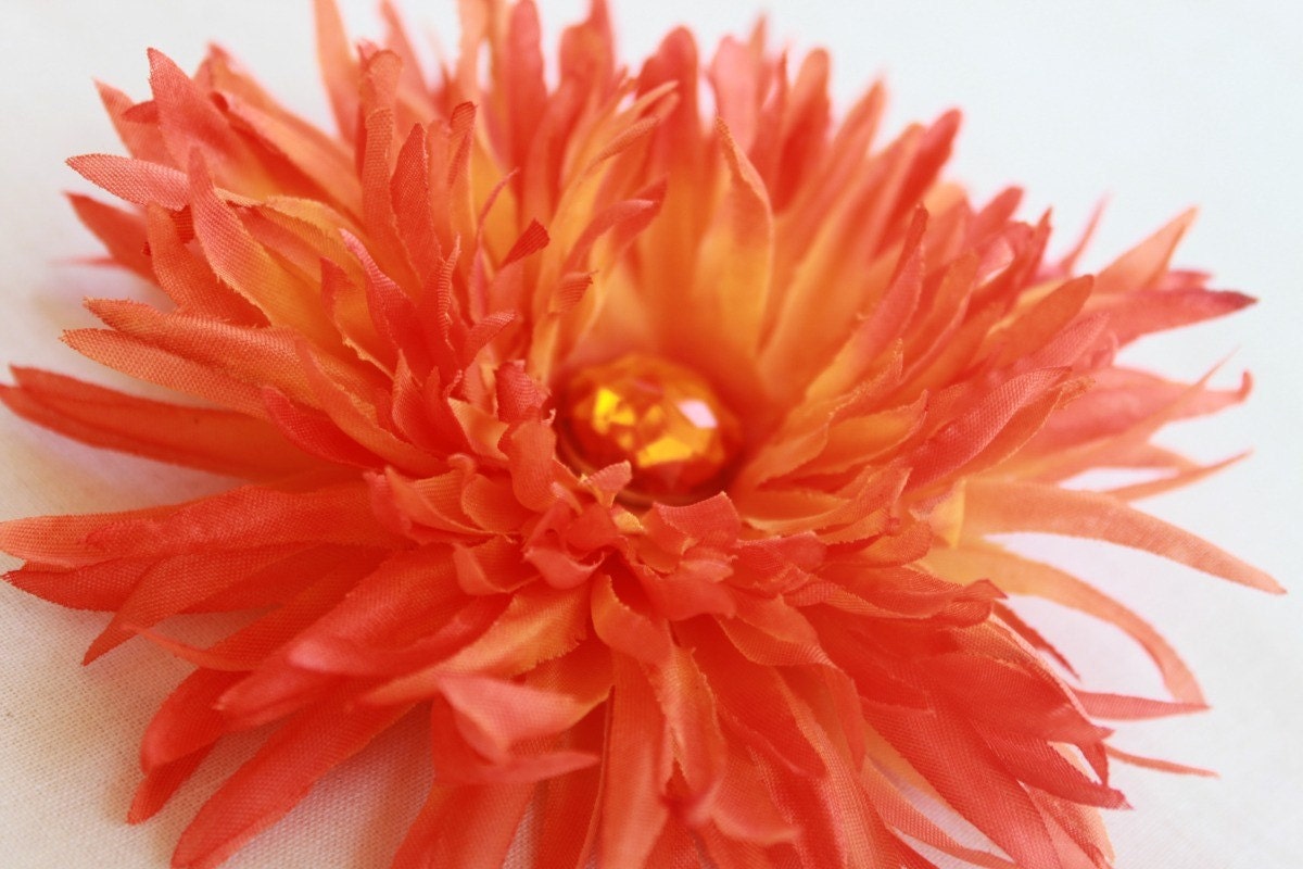 Orange Spider Mum