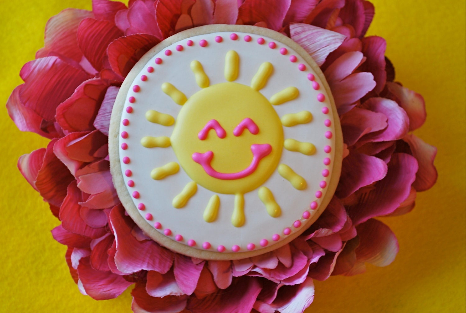 Sunshine Decorated Sugar Cookies (12)