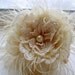 PRISCILLA Ivory or White Bridal Hair Clip LIMITED EDITION