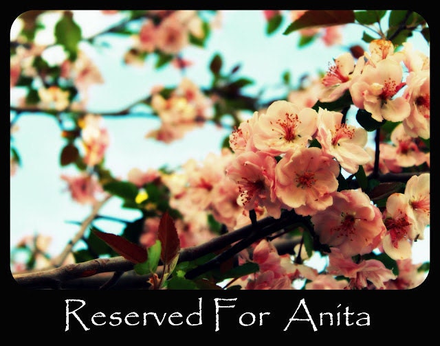 Reserved for Anita- Final payment