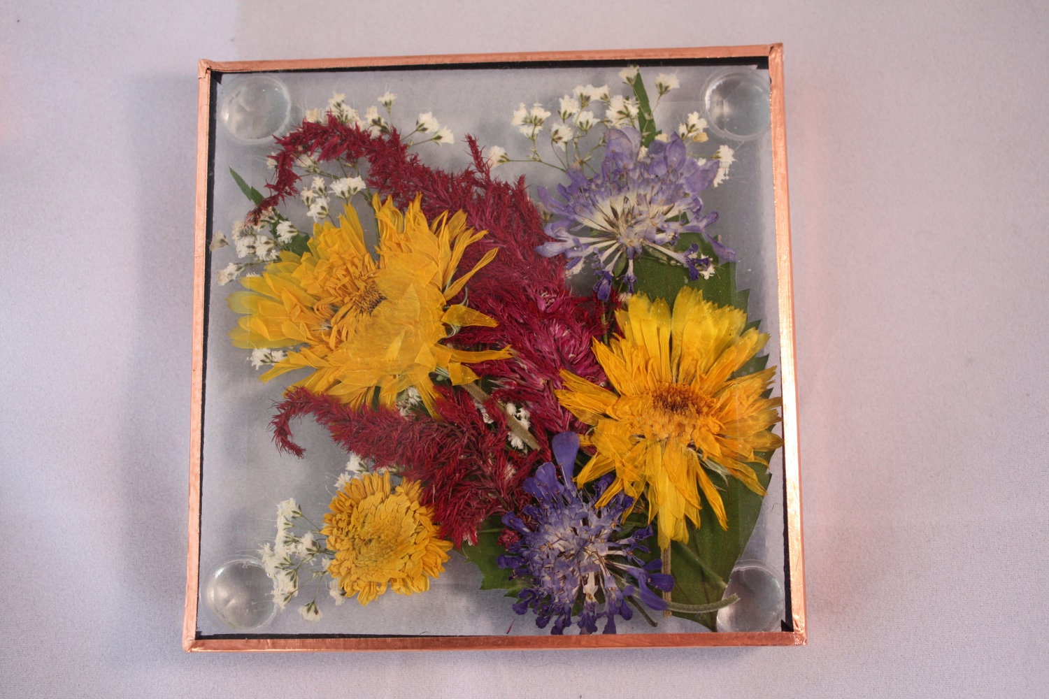 Dried Flower Beveled Glass Coasters