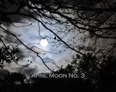 April Moon - 8 x 10 Fine Art Photography Print
