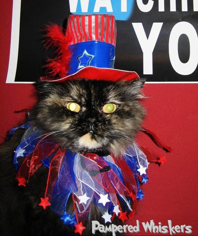 Uncle Sam pet hat and collar