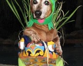 Infrognito Frog hat  for dogs and cats