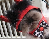 Little Devil hat for dogs and cats