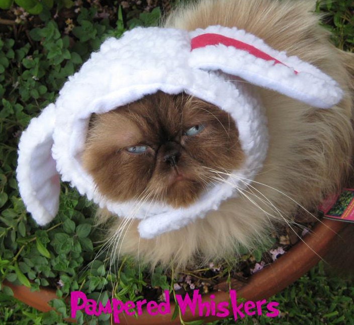 The Sheepish One hat for cats and dogs