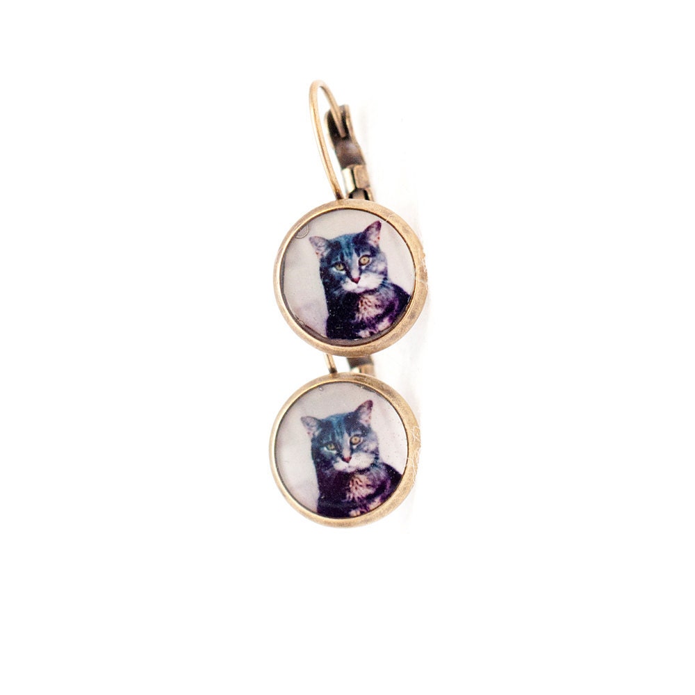 Copper dangle earrings, gray cat photo jewelry, 12mm round wearable art