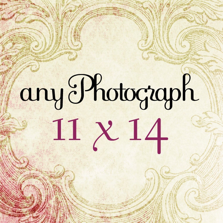 Any 11 x 14 Fine Art Photograph - Your Choice