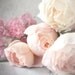 Rose Photography - Romantic Pink Roses, Nature Photography, Wall Decor