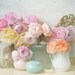 Rose Flower Photography, Romantic Roses Fine Art Photograph, Shabby Vintage Wall Decor