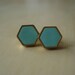 robin's egg mini brass hexagon stud earrings img