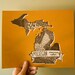 Michigan State Bird 8 x 10 Print