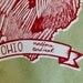 Ohio State Bird- Northern Cardinal 8 x 10 Print
