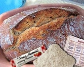 Authentic SAN FRANCISCO Sourdough Bread Mini Kit - StArTeR , fLoUR , JaM (w/ guide and recipes)