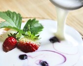 Dehydrated / Dried Organic VIILI Yogurt Starter w/ PICTURE Guide