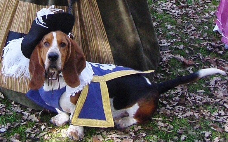LARGE Three 3 Musketeer Dog Pet Costume outfit by MattiOnline on Etsy CUSTOM