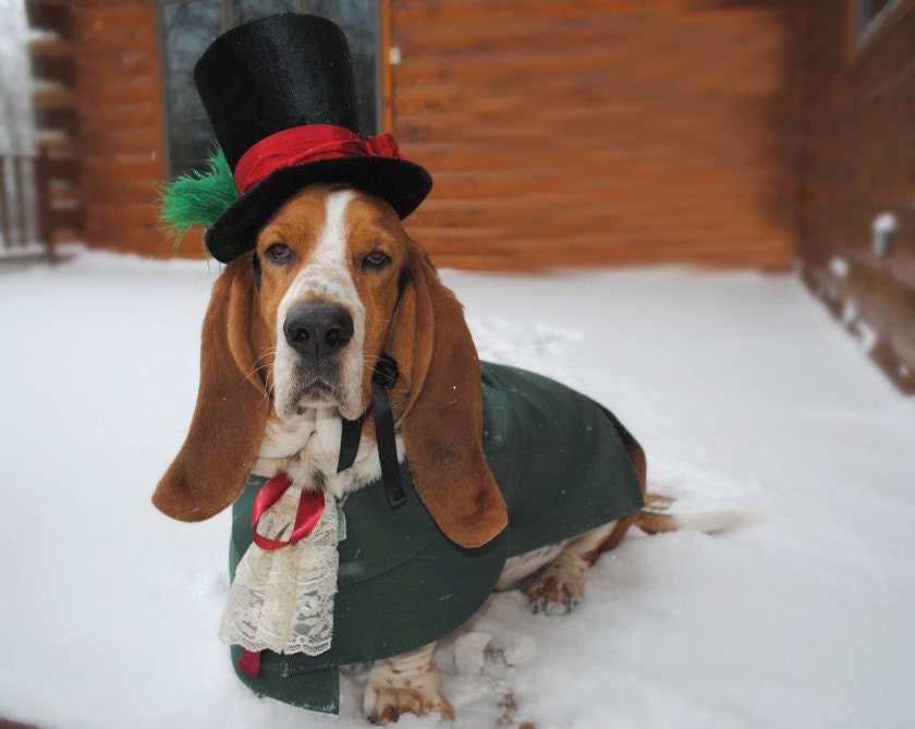 Christmas Caroler Dog Pet Costume outfit by MattiOnline on Etsy CUSTOM small to medium size