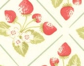 Moda, STRAWBERRY FIELDS By Fig Tree Quilts, Summer Picnic in Vanilla, 1/2 Yard