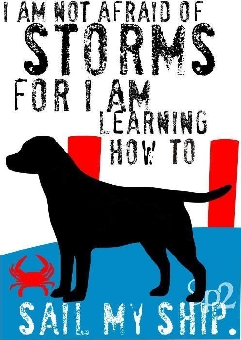 Nautical Labrador Retriever Dog Art Print Wall Decor Inspirational Series