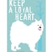 Samoyed Husky Dog Art Print Wall Decor Poster Matted to fit 8 x 10 frame