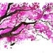 Watercolor Japanese Cherry Blossom Tree Painting, Jessica Durrant - The Cherry Blossom Tree print