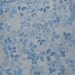queen flat bed sheet little blue leaves reclaimed fabric