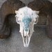 Ram Skull and Horns, Rustic Home Decor