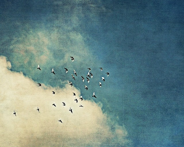 Little Dreams On The Wing  5x7 Fine Art  Photographic  Print - Ready To Ship